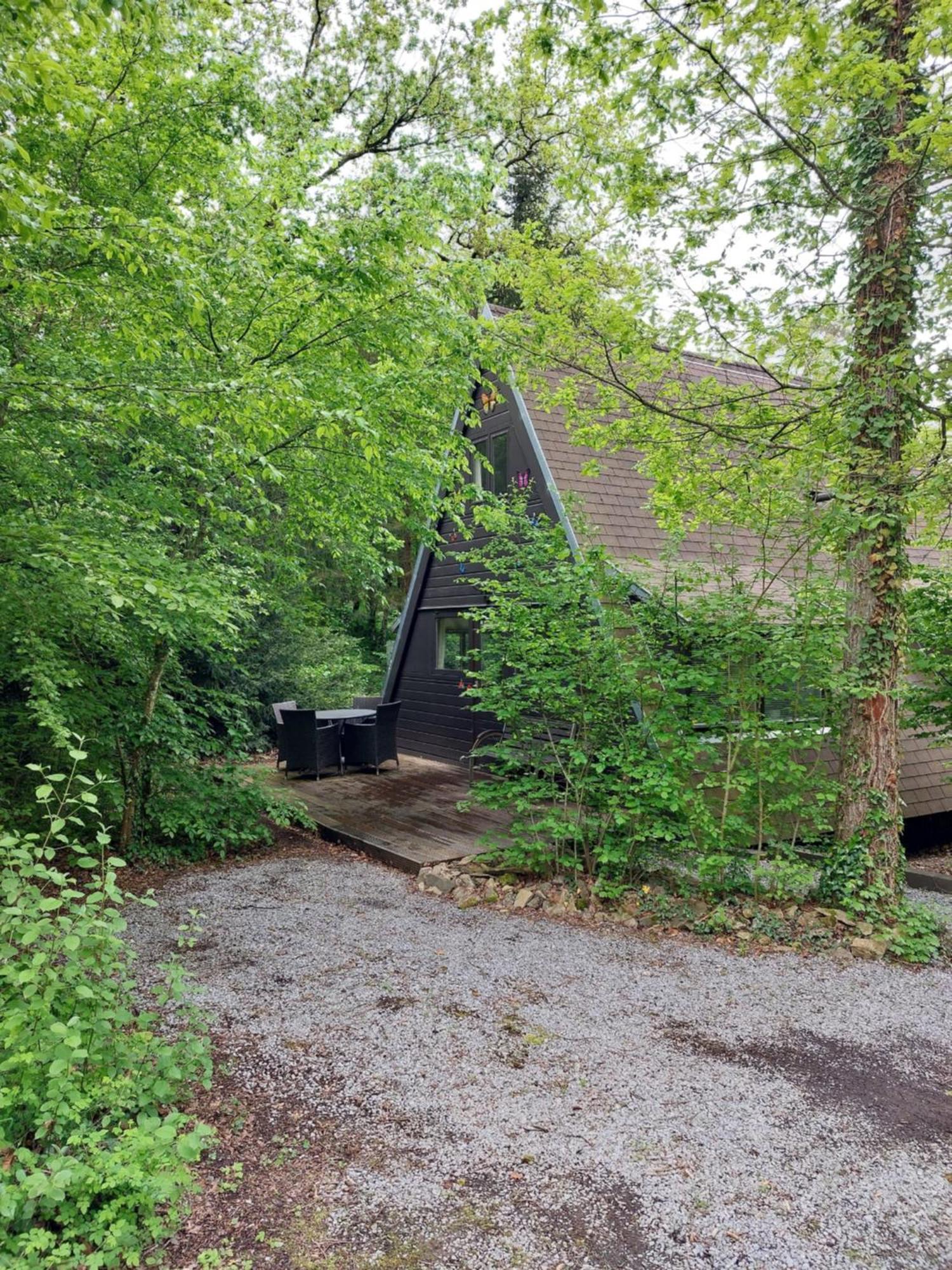 Het Vlindertje Villa Дюрби Екстериор снимка